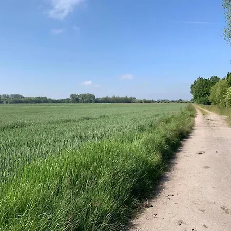 In Near The * Ньивпорт