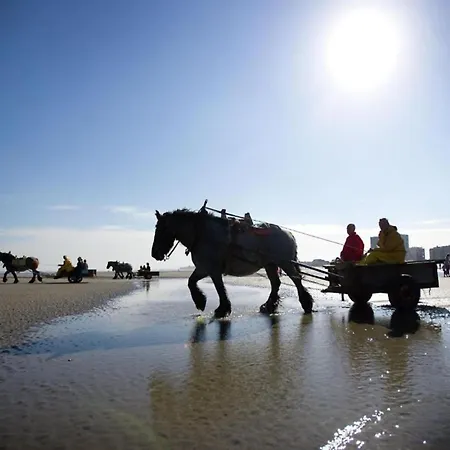 In Near The * Ньивпорт