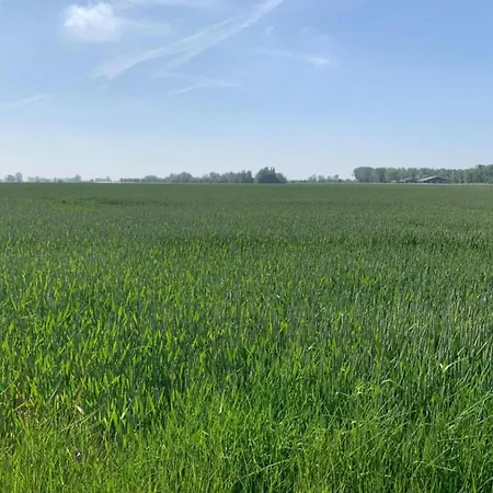 In Near The Ньивпорт