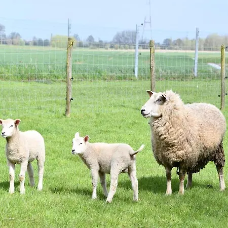 In Near The * Ньивпорт