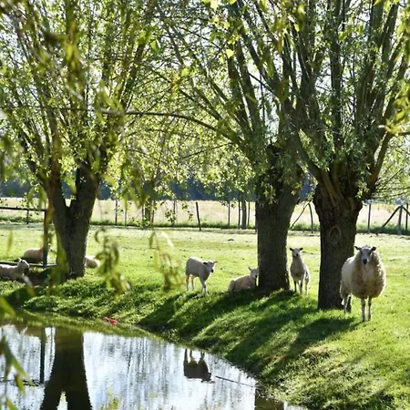In Near The Daire Nieuwpoort